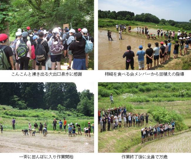 小学生田植え作業の写真