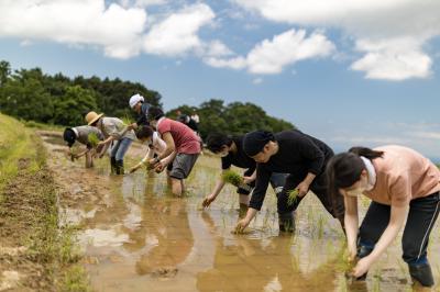 都市部の方が参加する田植え体験活動（写真）