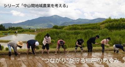 棚田で田植え体験をする都市部の方々（写真）