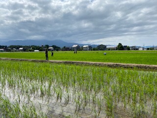 SPAD測定状況（写真）