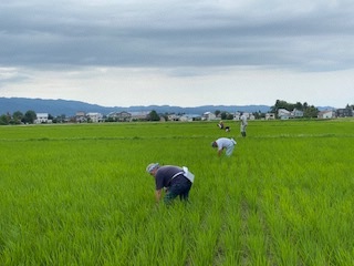 横並びで測定する状況（写真）