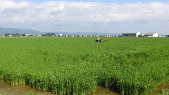 4.2haの散布状況（写真）