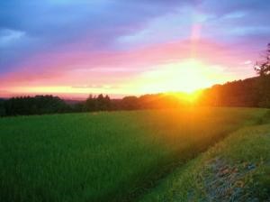 夏の風景（写真）