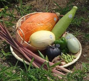 上越野菜(写真)
