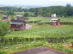 山本ぶどう園の写真