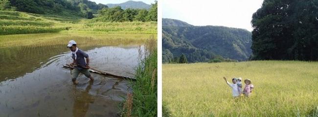 鴫谷さんと無農薬圃場の写真