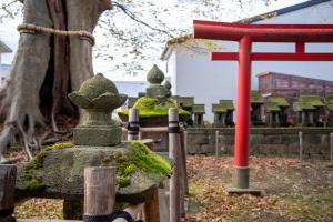 ケヤキと合祀された祠などの景観（写真）