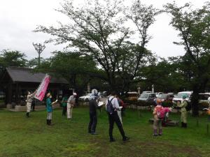 三の丸広場の桜の樹勢診断の様子（写真）