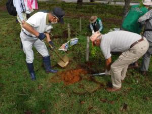 土壌改良のための穴掘り作業の様子（写真）