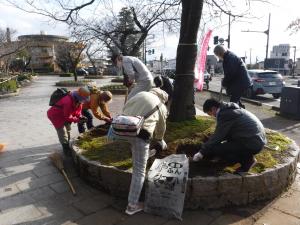 植樹桝部分の土壌改良の様子（写真）