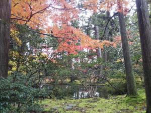 瀧本邸の庭園（写真）