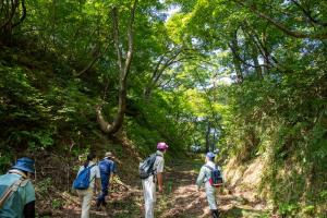 トヤ峰砦の大堀切の様子（写真）