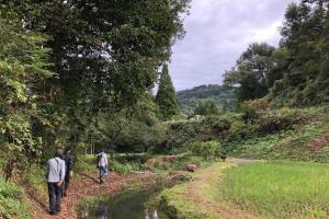 大安寺裏の小山（写真）