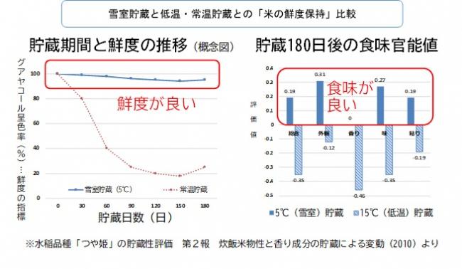 雪室貯蔵と低温・常温貯蔵との「米の鮮度保持」比較一覧（グラフ）