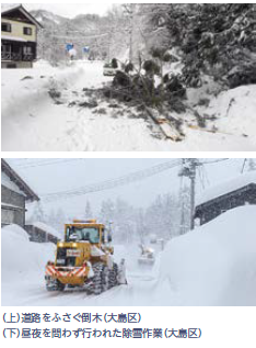 （写真上）道路をふさぐ倒木（大島区）、（写真下）昼夜を問わず行われた除雪作業（大島区）