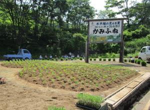 花植えの終わった安塚区上船集落の花壇（写真）