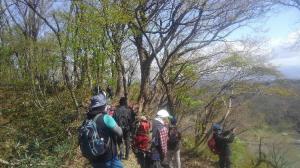 春日山城周辺古道散策会の様子（写真）