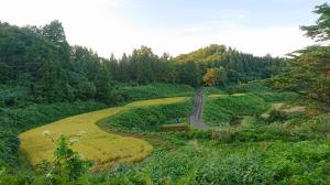 棚田の風景（写真）