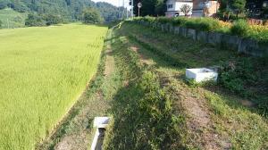 樽田の棚田の風景（写真）