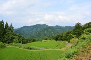 上達棚田の風景（写真）