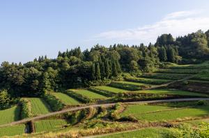 安塚区須川の棚田の風景（写真）