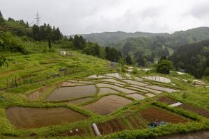 中ノ俣の棚田（写真）