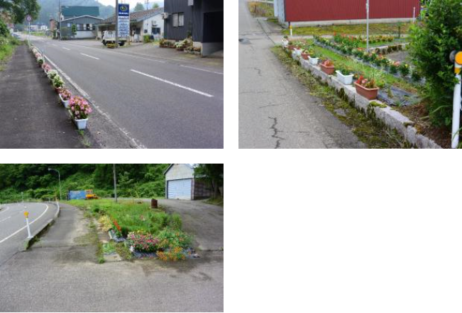 集落内の花植栽の様子（写真）