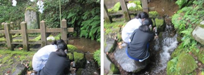 大出口泉水の写真