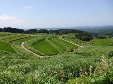 棚田の写真