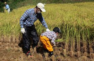参加者（子ども）に稲刈りの仕方を教える地元インストラクター（写真）