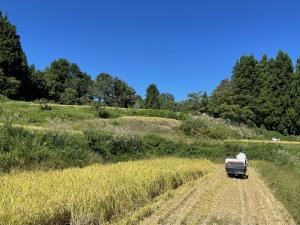 稲刈り作業と秋晴れの空