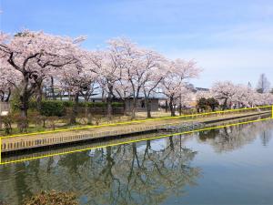 高田城址公園内堀（写真）