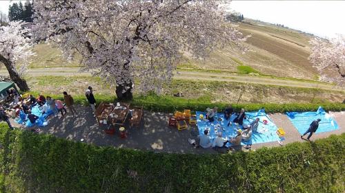 地域住民によるお花見（写真）