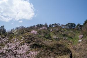 春日山城址（国史跡）