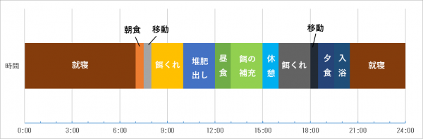 1日のスケジュールの画像