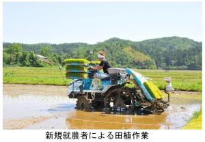 新規就農者による田植作業（写真）