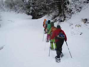 登山中の参加者たち（一列で進みます）写真