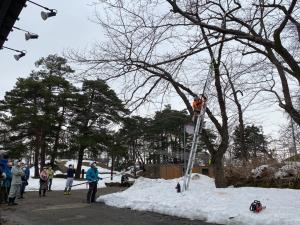 桜守が折れ枝を切断する様子（写真）