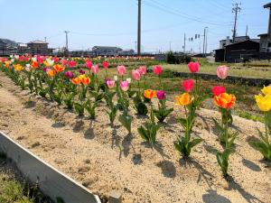 横町セントラルパーク（写真）