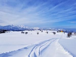 光ヶ原高原の冬景色の写真