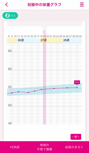 妊娠中の体重グラフ