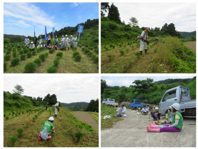 中山間地域支え隊　6月26日　安塚区朴の木　草刈り作業の様子（4枚組写真）左上：集合写真、他3枚：作業の様子