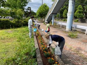 除草作業を行いきれいな花壇になった様子（写真）