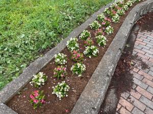 除草後の花壇の様子