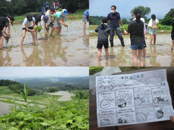 柿崎小学校の田植えの様子（写真）