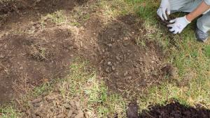 土壌改良のために掘った穴にたくさん、砂利が出た様子（写真）