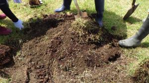堆肥と掘削土を混ぜ合わせる様子（写真）