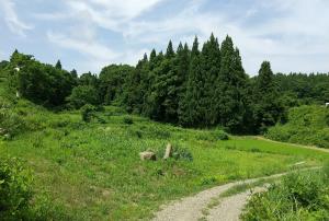 栗沢さくらの里への道の写真