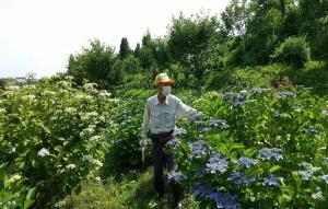 栗沢さくらの里をつくる会発起人の安原さんの写真