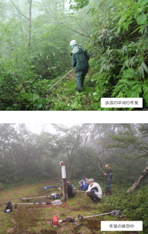 歩道の草刈り作業の様子の写真